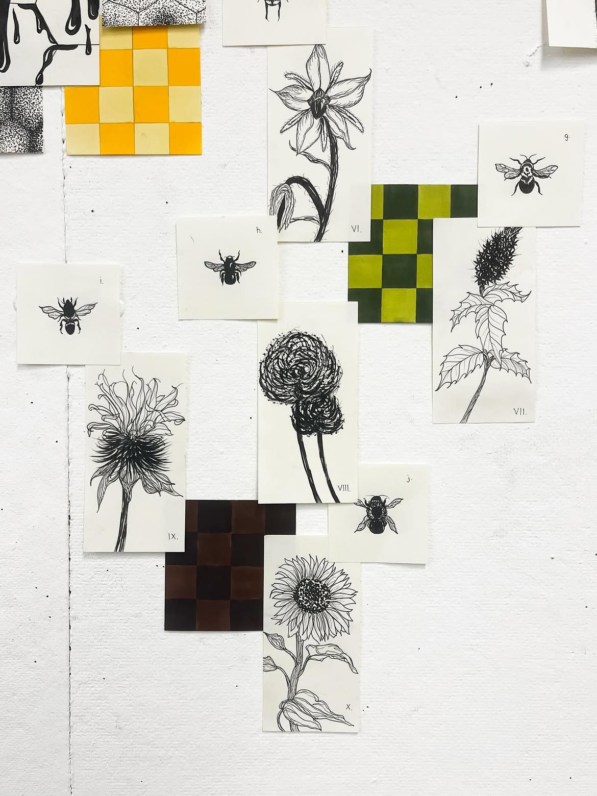 The Bee Project, image 4 of 4